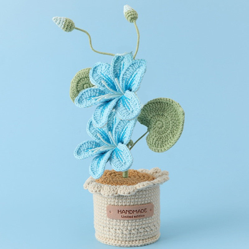Potted Poinsettia Flower, back view