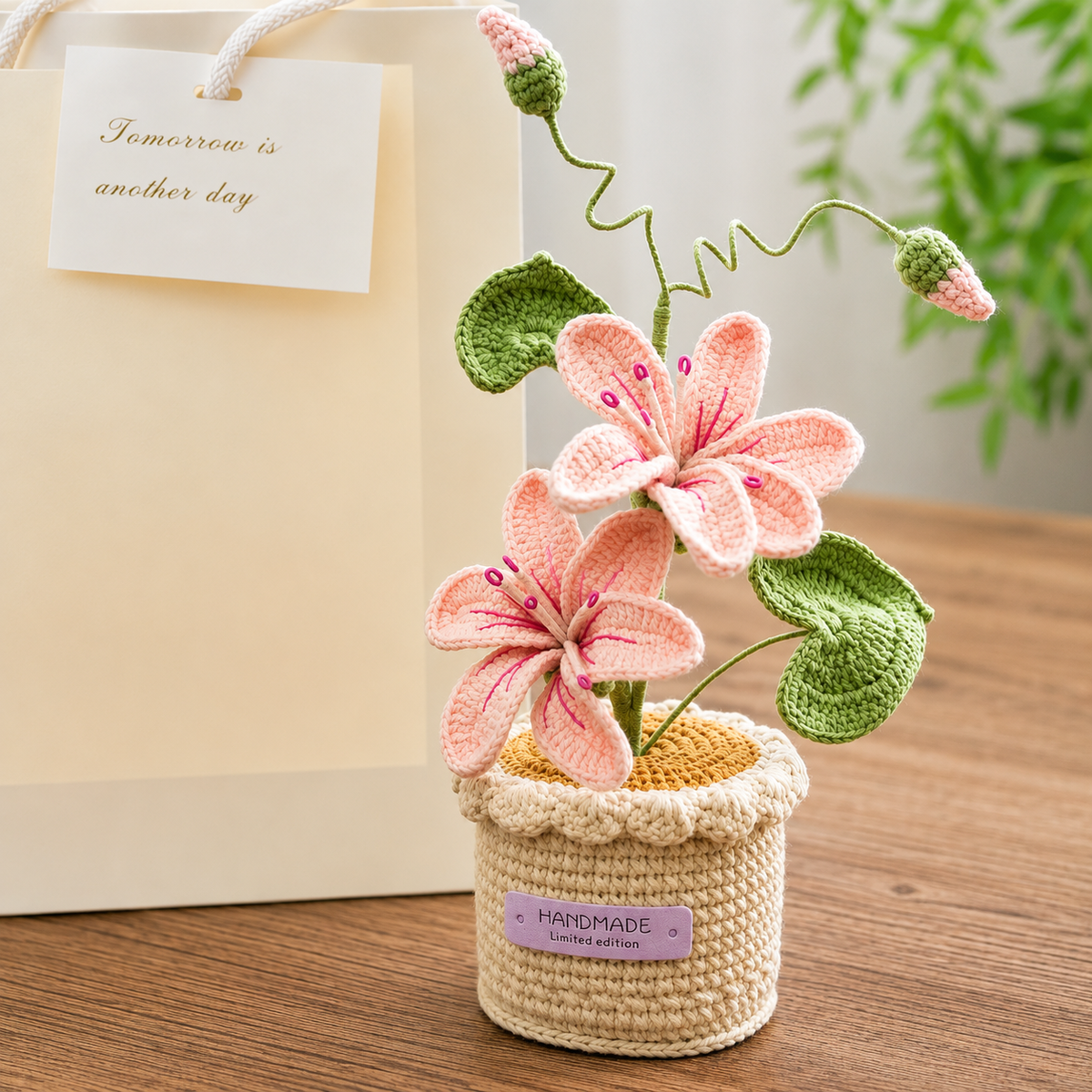Potted Poinsettia Flower, styled with props