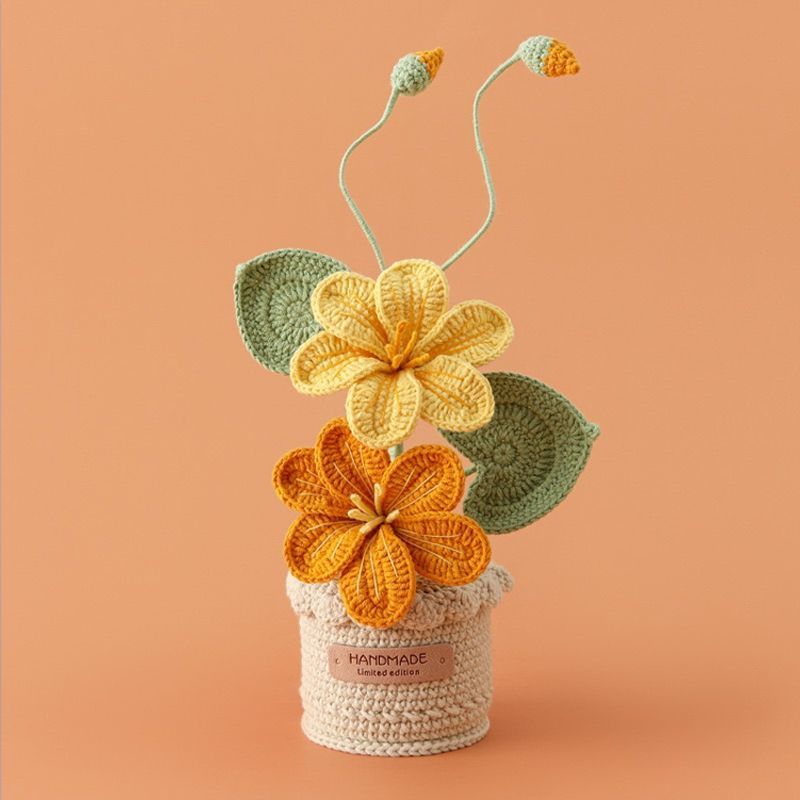 Potted Poinsettia Flower, styled in a nursery setting