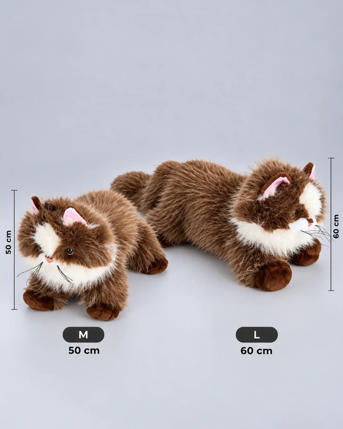 Realistic brown and white Ragdoll-style cat plush toy, lying down, 50cm and 60cm sizes side by side